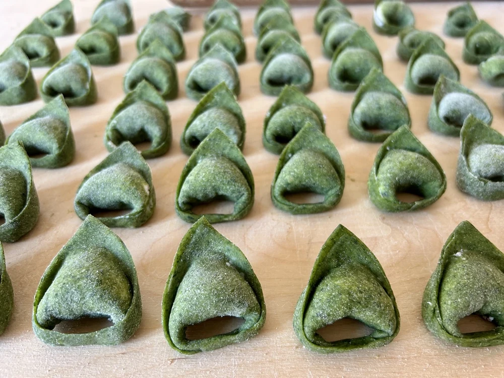 Green handmade Pastalicious tortelloni fresh pasta